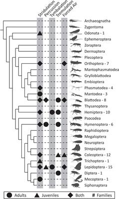 Survival Sounds in Insects: Diversity, Function, and Evolution